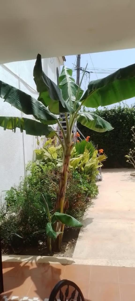 Riad Cote Jardin サリー・ポルチュダル エクステリア 写真